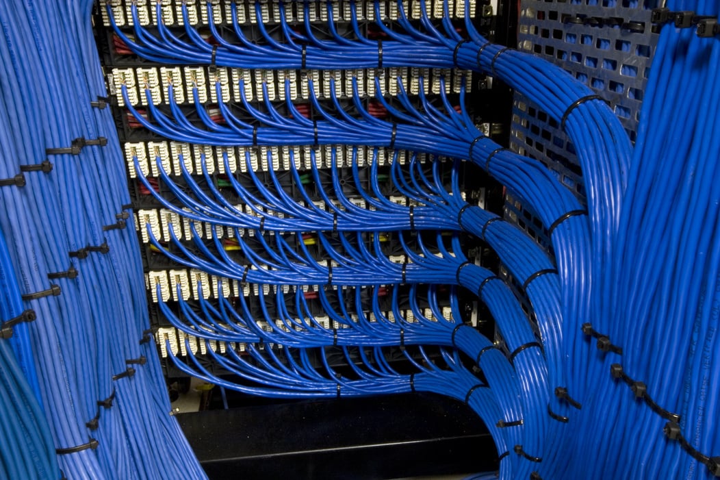 Blue Network Cables